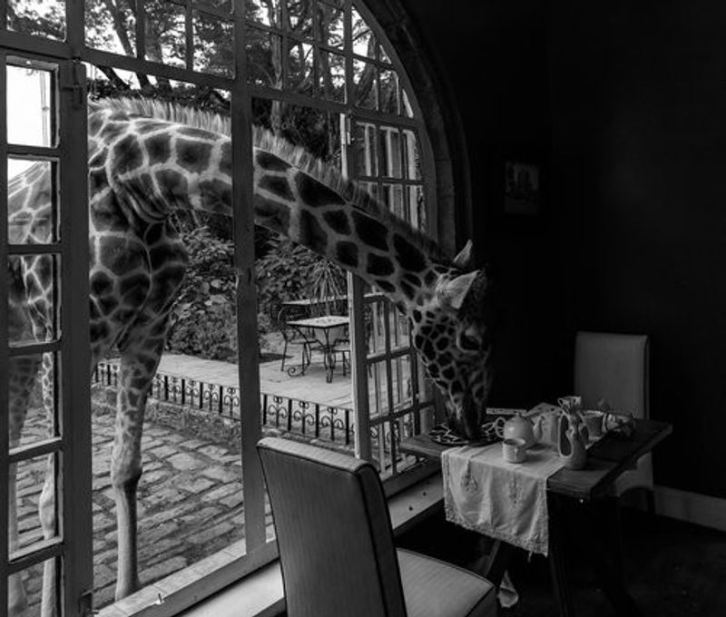 Giraffe Manor in kenya