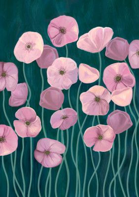 Pink poppies