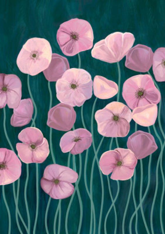 Pink poppies