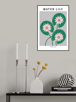 Water Lily - National flower of Iran