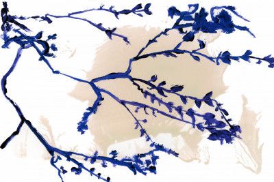 Navy Blue Blossoms On Tree Branches