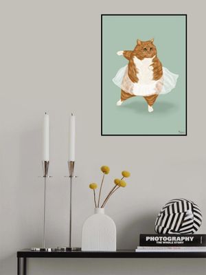 Ballet Cat - 'I can do anything I dream of'