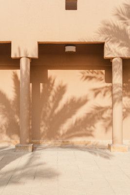 Shadow Of A Palm Tree On A Mud Wall