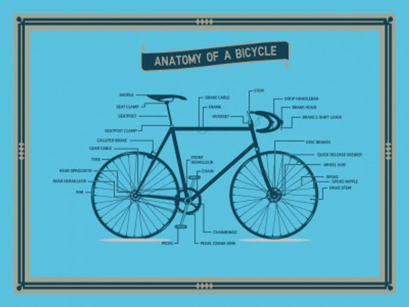 Anatomy of a Bicycle Standard Wall Art