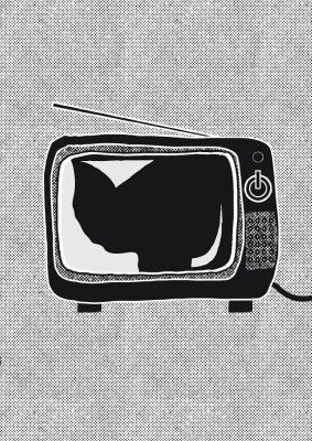 Vintage Tv