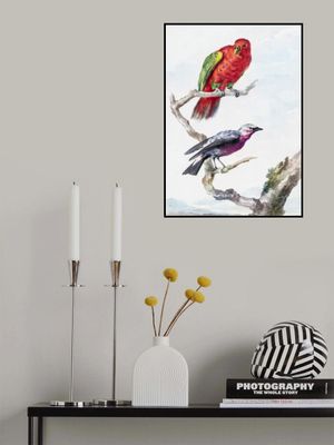 Two Birds, Including a Red Green Parrot