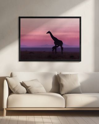 Good morning Masai Mara 7