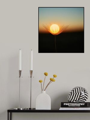 Trapped in a downy tuft