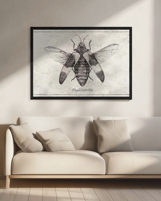 Intricate Insect Sketch