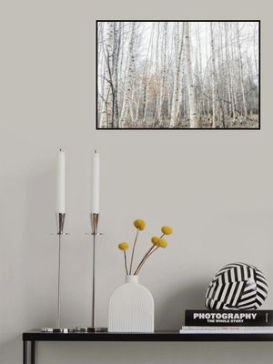 Birch Trees 9