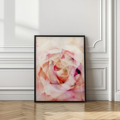 Dreamy Pink Rose