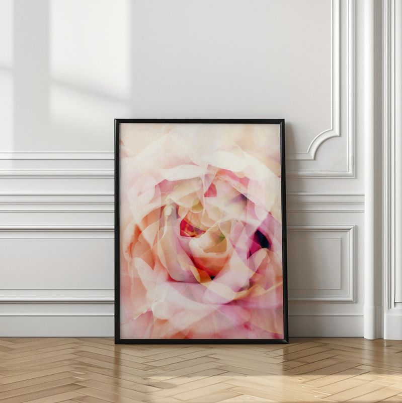 Dreamy Pink Rose