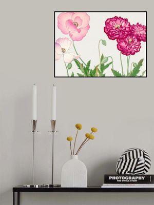 Vintage Poppy Flower No.2