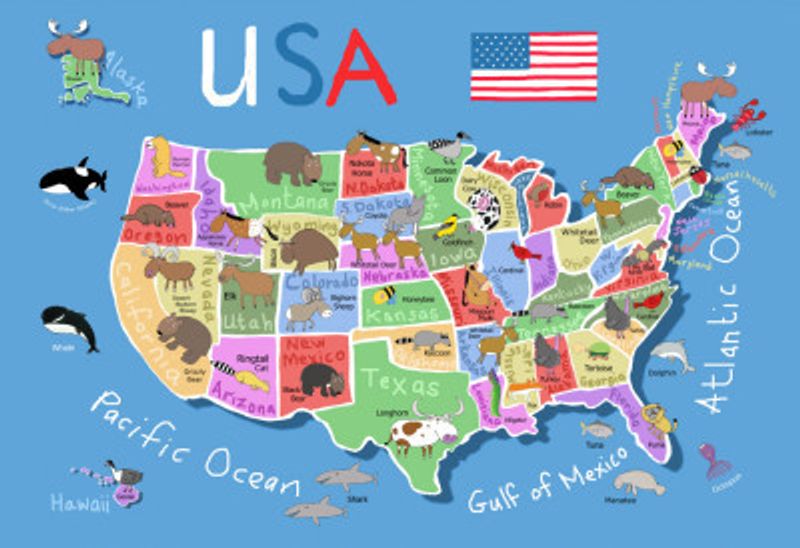 Illustrated Map of United States of America by Carla Daly