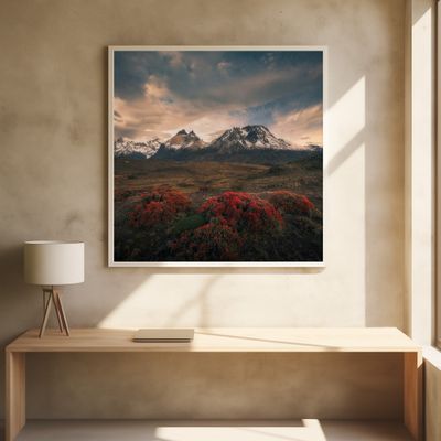 Spring in Cordillera del Paine