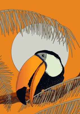 Tropical Toucan Glow