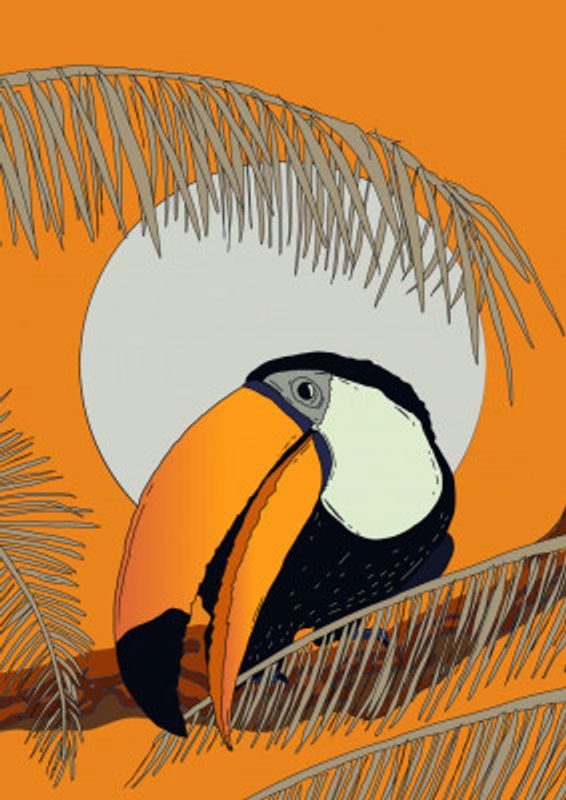 Tropical Toucan Glow