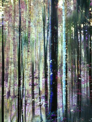 Expressionist Forest