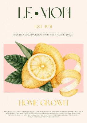 Vintage Style Sliced Lemon With Leaves