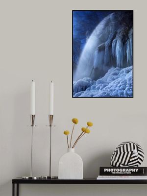 Frozen in the moonlight