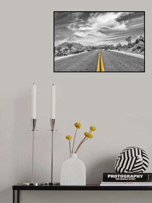 Park Boulevard, Joshua Tree National Park