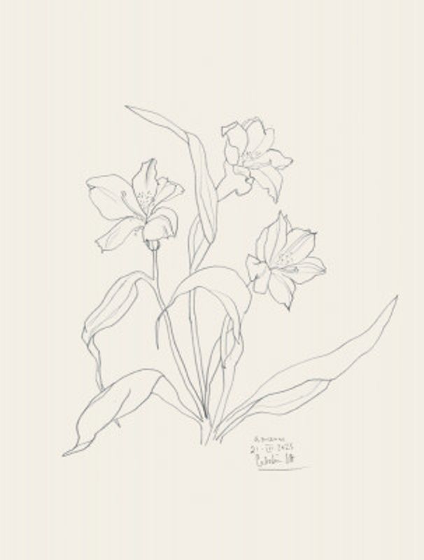 Floral Line Elegance