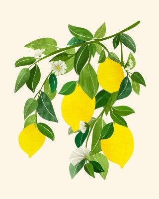 Sunny Lemons 4x5