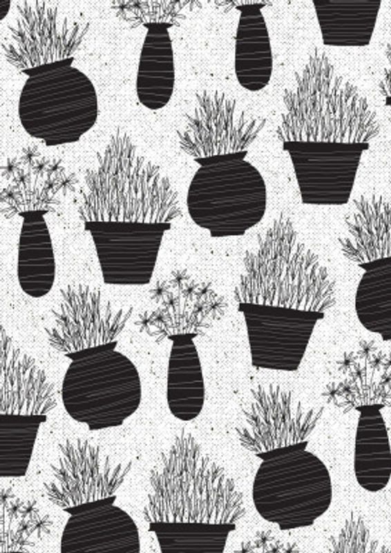 Plants In Their Pots