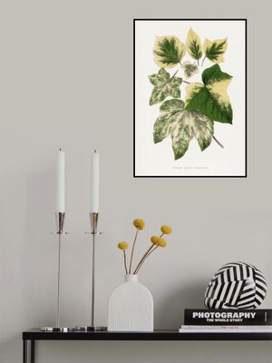 Green Leaf Illustration