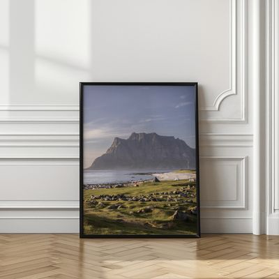 A Lofoten Summer 1