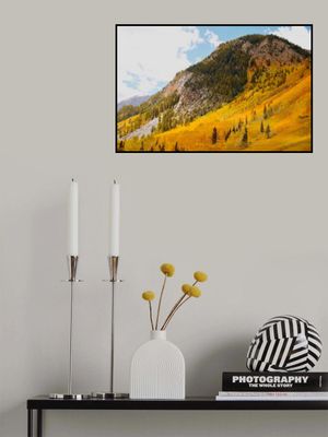 Conundrum Creek Trail