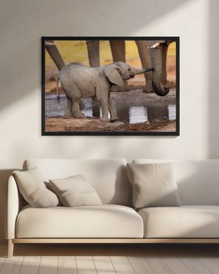 Play with me, please!