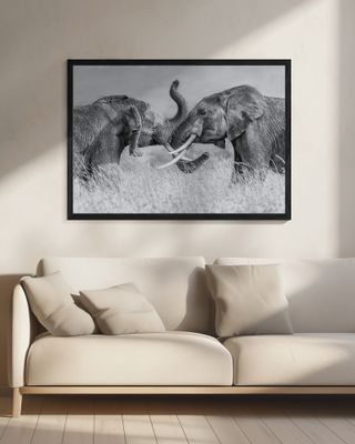 Elephant "Tai Chi"