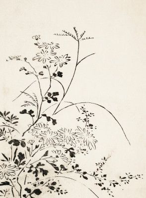 Autumn Flowers and Grasses (1762)