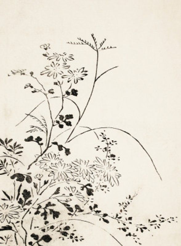 Autumn Flowers and Grasses (1762)