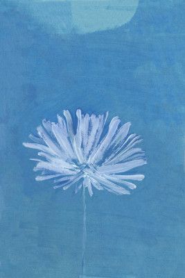 White Flower On Blue Background