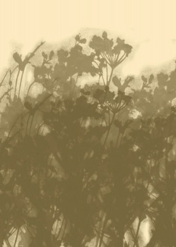 Misty Meadow. Abstract Botanical Art No.2