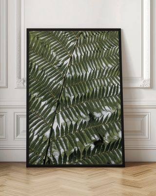 Lush Green Fern