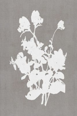 Botanical Illustration 3