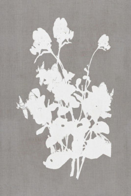 Botanical Illustration 3