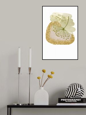 Harmony Green and Gold