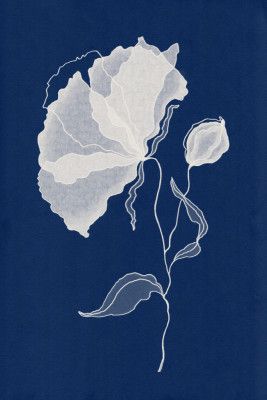 Delicate White Flower