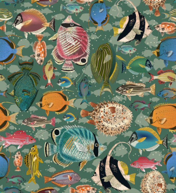 Fishes everywhere teal pattern