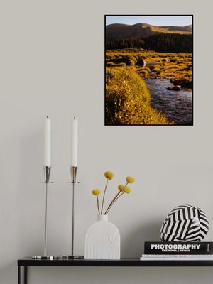 Guanella Pass Stream Crossing