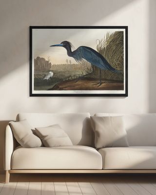 Blue Crane or Heron From Birds of America (1827)