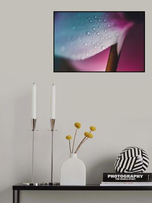 Delicate Water Droplets