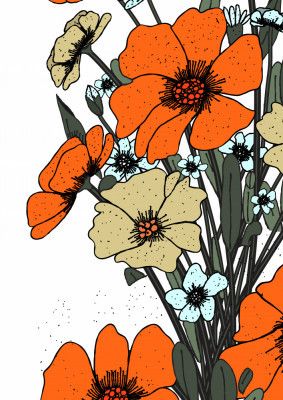 Orange Flowers