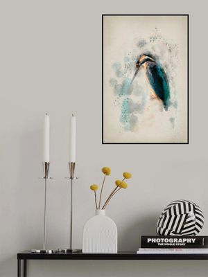 The Emotional Kingfisher