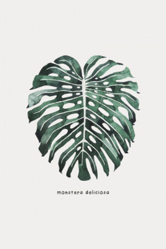 016843 Botanical Monstera Leaf