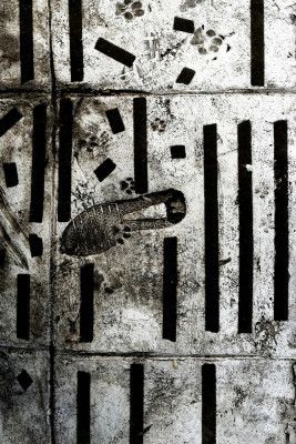 Footprints And Stripes